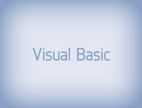 Visual Basic_450x360.jpg